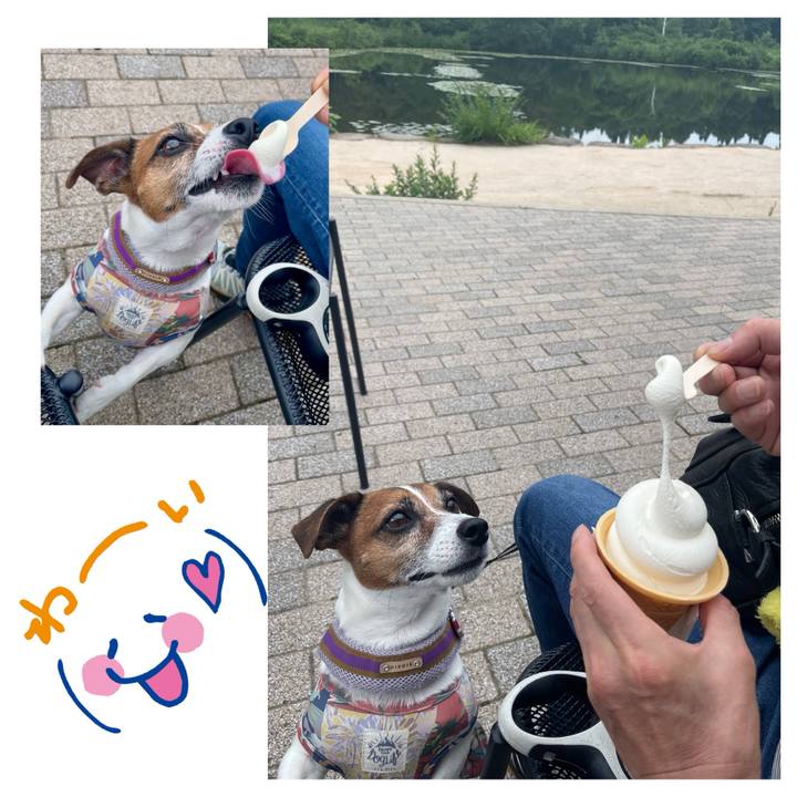 3b9102de 3af0 472d a9de b435d9842084 1754386350875