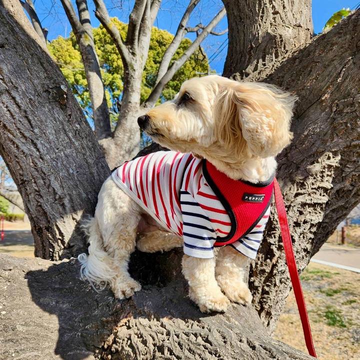 3b914eda 8efd 4bab a411 df2e11423640 1772359241915