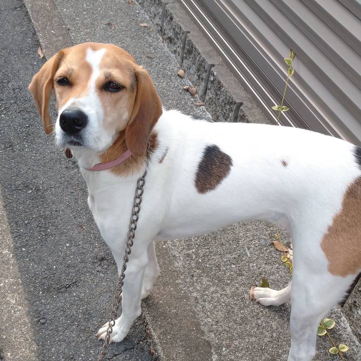 3b91841a f810 4265 bb6f 755d1feb7707 1601437158214