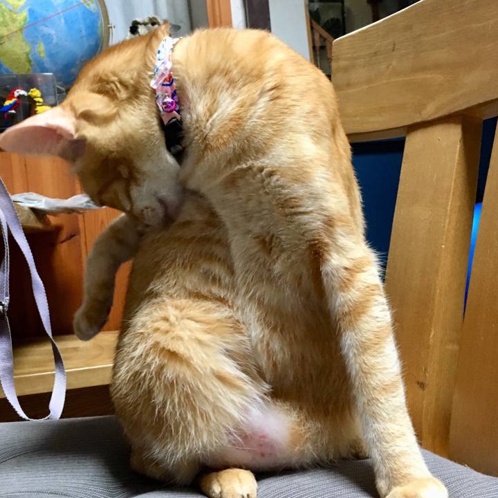 3b918f58 3b28 4f81 83c1 add10693453c 1544616788242