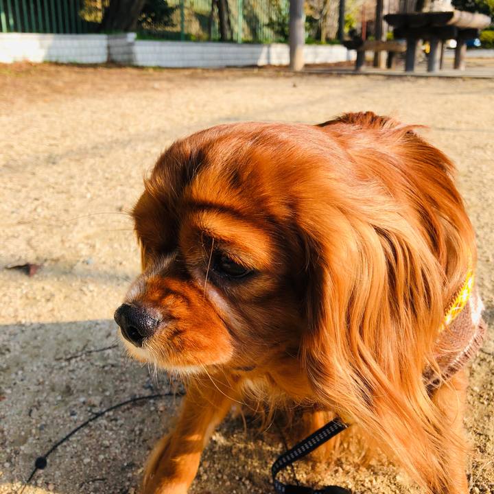 3b92669f ab28 4e95 8a20 b4b8c476b6fa 1580826592557