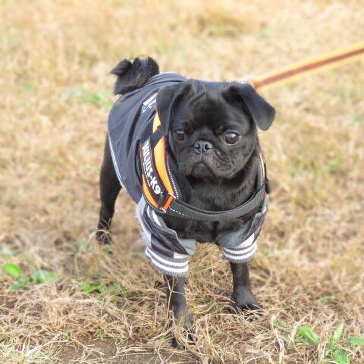 3b926976 7dc2 4950 b840 d7974b65cc74 1605482162500