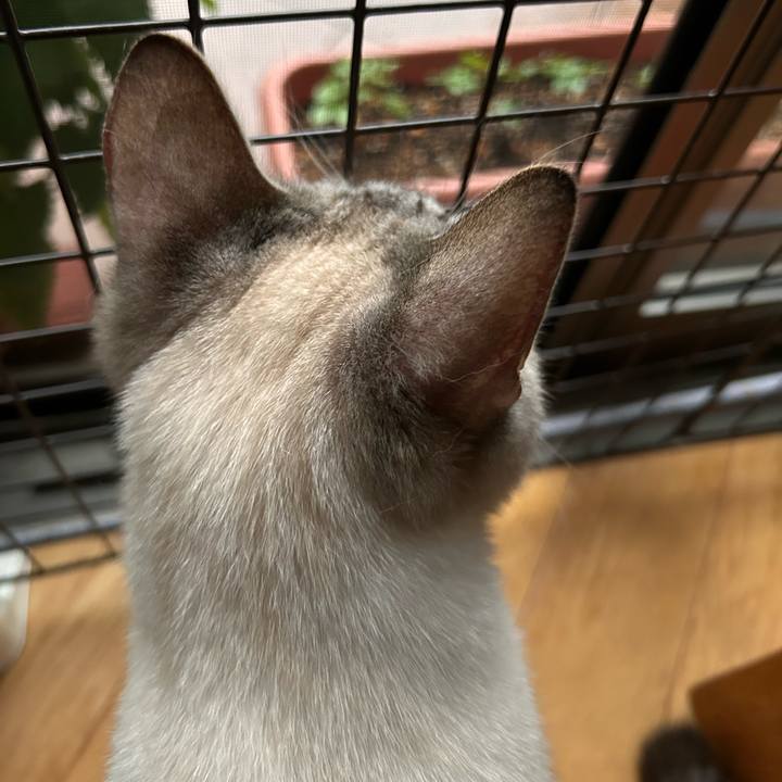 3b928d4d 5676 47a5 b324 76d31db273be 1750624615037