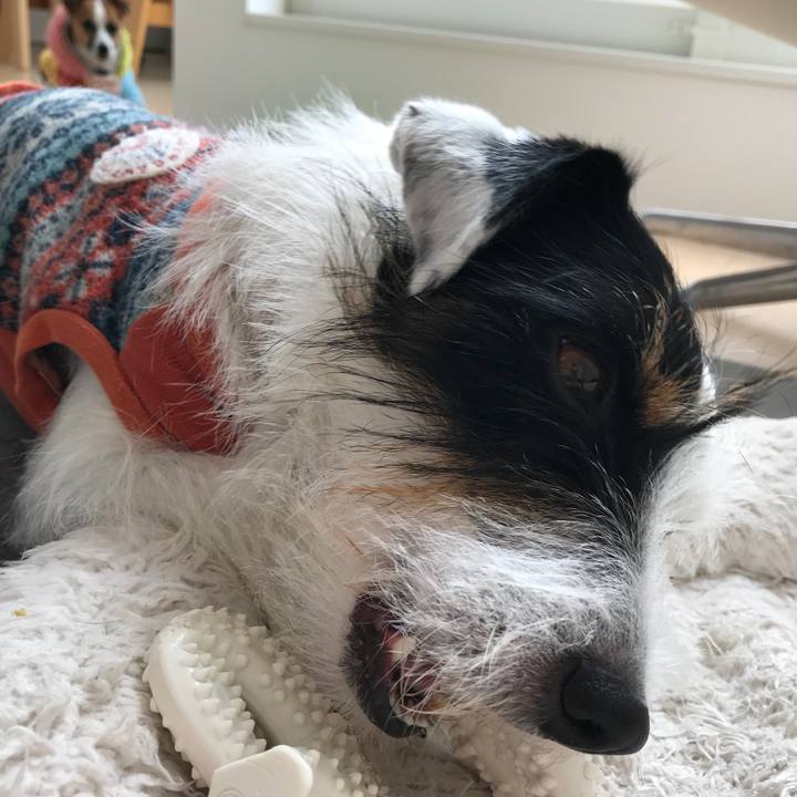 3b92df34 bffd 4fdb a5b1 b38f20e5e8a9 1508466391435