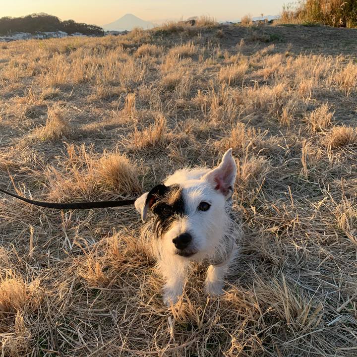 3b92f244 1717 4519 a078 1e93425bef11 1672214436154