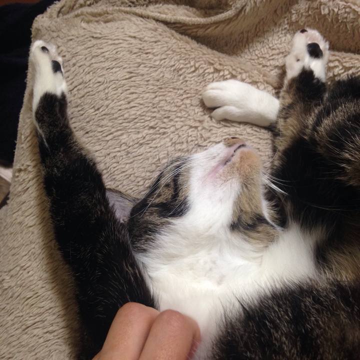 3b930389 4587 472e 90cd 97f5907125c2 1512902129723