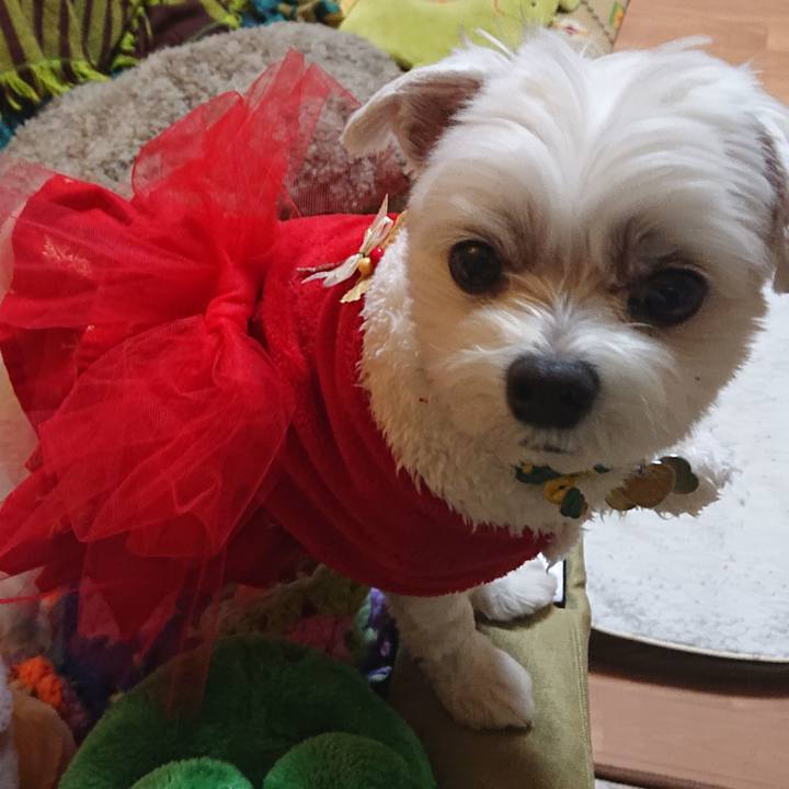 3b931d74 b03b 404a 96e1 c1a2c81c8a1a 1576156887591