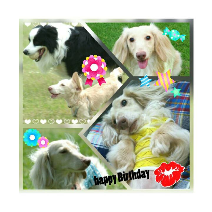 3b932690 5f11 44ae 8bc2 34b8f0974924 1510576987903