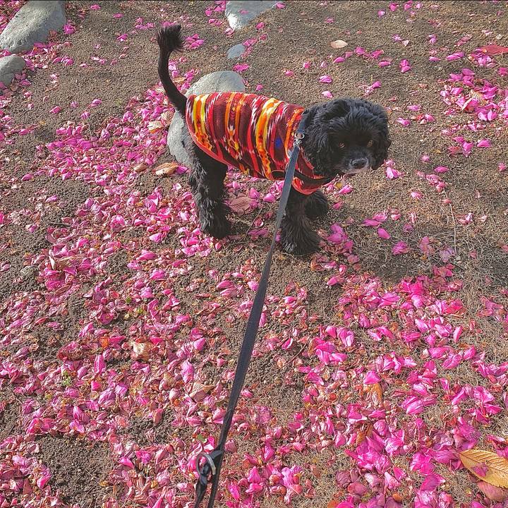 3b93318a 47c1 4992 bf3b 1f920c2c29cf 1607933942892