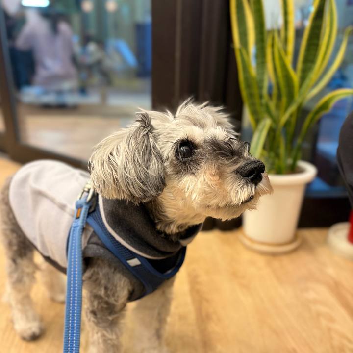 3b935243 975a 4cf4 b766 9e31ee2e943a 1768059844571