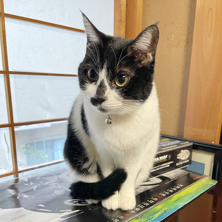 3b935a91 9f55 4a72 aa68 5d3c52f1b666 1767567405858