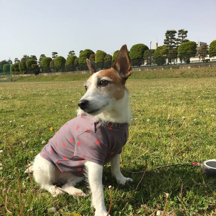 3b9363a3 867e 4ed0 8000 a8ea7726c59b 1620344720089