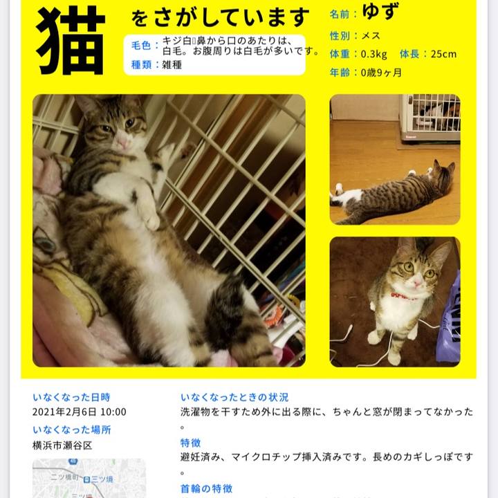 3b936d94 09ef 4931 adbc a9c705744e27 1615466892034