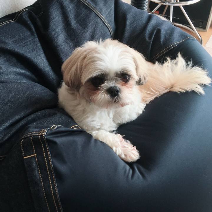 3b93773a d747 467a 9f80 108a1b4006a1 1526121499052