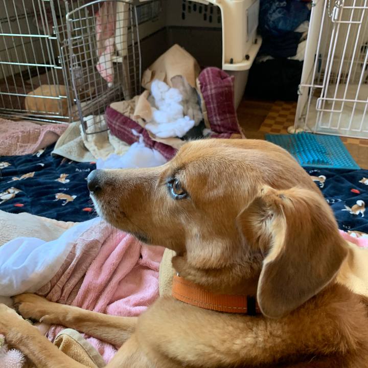 3b93b164 edb2 4a61 8ced 1013688436b4 1572825107875