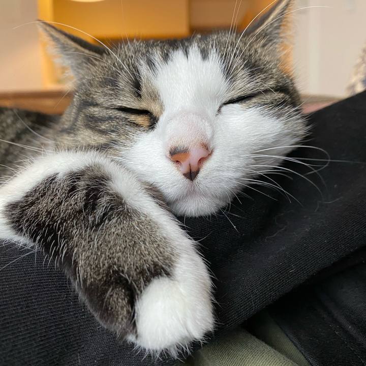 3b93d190 e433 4f57 b4b1 3728c85f61ea 1577083350040