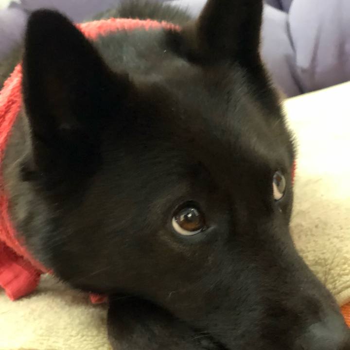 3b93eb98 cacc 410f 9e96 bbc6e65479db 1559943204948