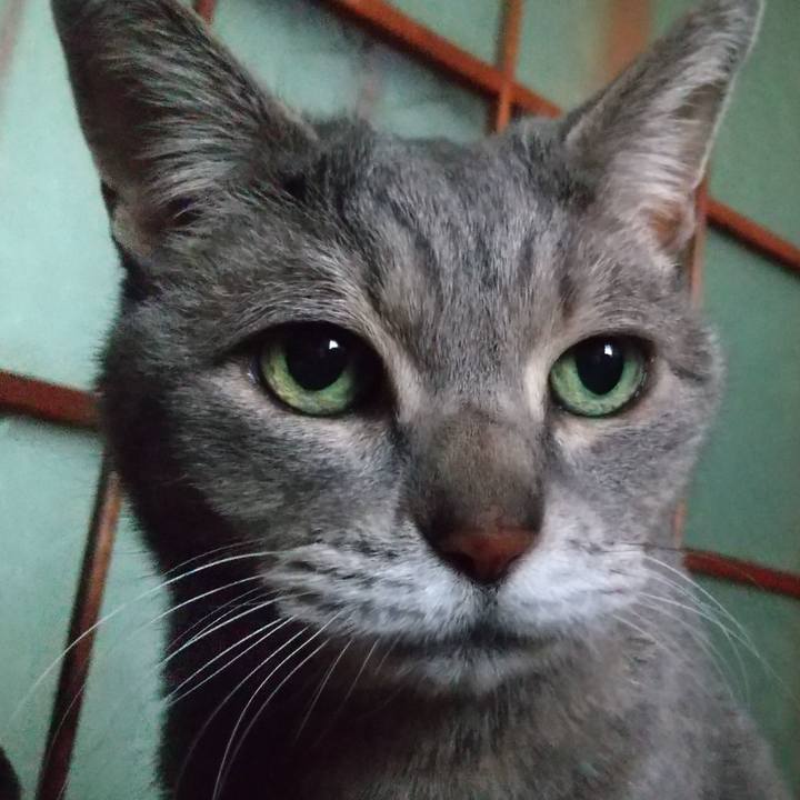 3b93f044 07d5 4ca2 a58f be4cc5cfa065 1679645039572