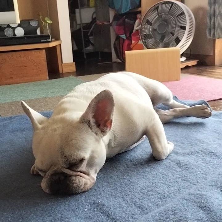 3b9436c9 b641 4f9e 9f43 286899377412 1687563274243