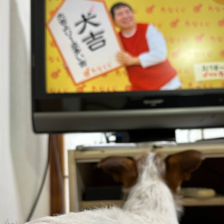 3b9439de d5ed 473a b235 6e4dd4a8bd6e 1773613221363