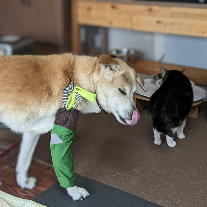 3b9442a6 382a 4fe4 ae83 3784d89545e3 1683592441800