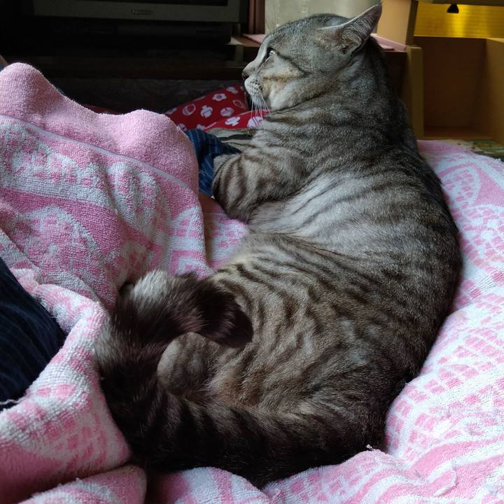 3b94665b 6b7a 4118 a501 e81ac1330cc9 1596089929724