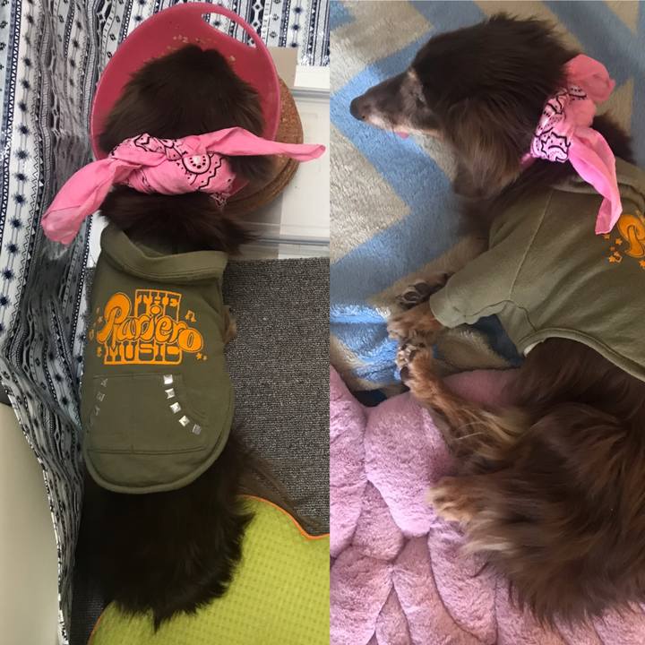 3b9470b0 c898 4549 99ad d63b53d3dd51 1584055805670