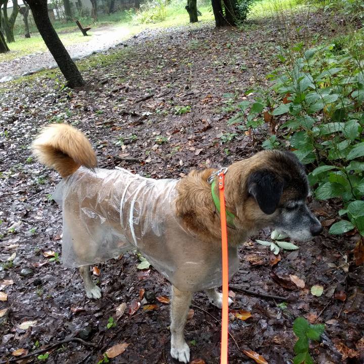 3b949bc4 ccb2 4883 a4d5 a0301fd718f9 1536016206451