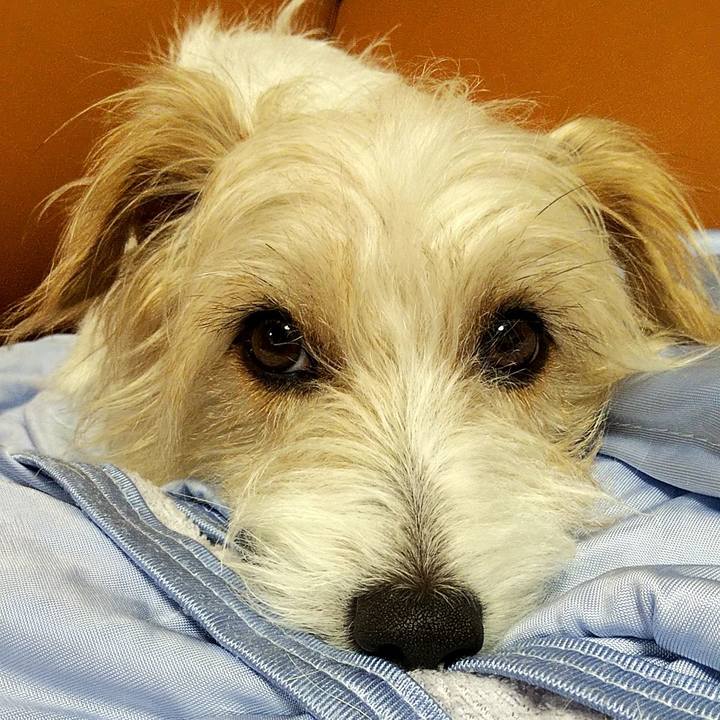 3b954499 31b6 46cb b428 f0b358bbdbf1 1564662524827