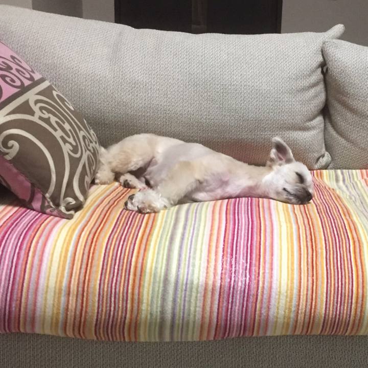 3b955dff a4f8 46b4 88b8 488a51b624d8 1555854167934