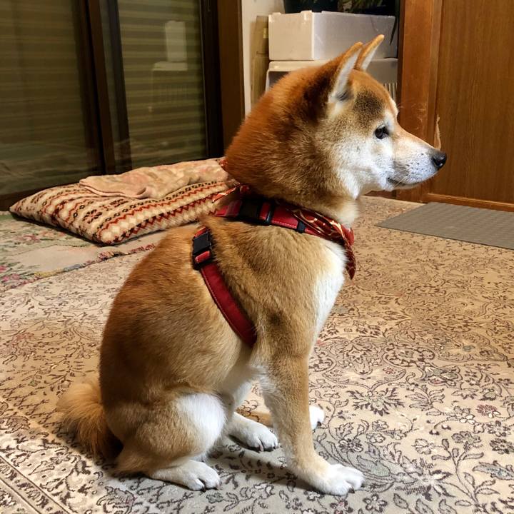 3b956f56 bcf3 4a17 becf ee13a3f56b6f 1552218663280