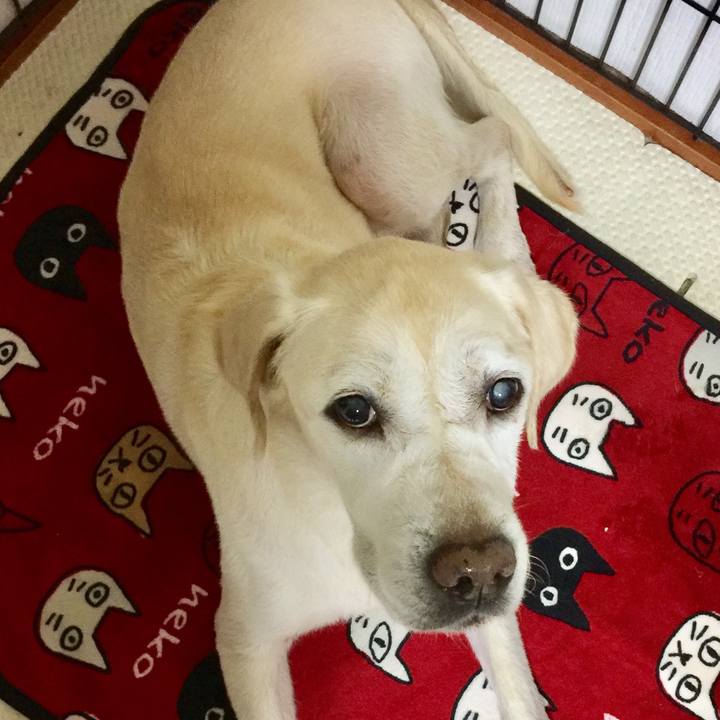 3b957e57 adec 4791 a153 c59a203ade75 1508590196070