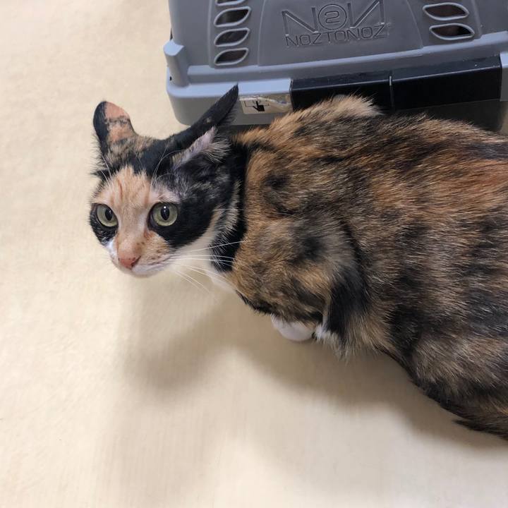 3b9595c9 2b0b 428c 9a75 dfb3c7437709 1551087101877