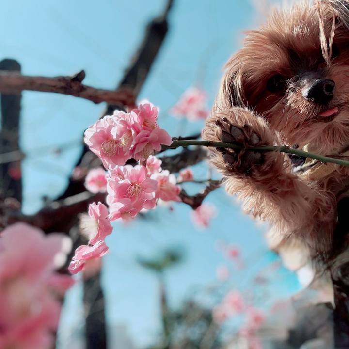 3b95f9a3 3216 4319 9d01 8818453efada 1740874290580