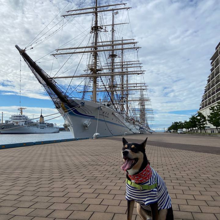 3b960cce bc83 477b b8a3 55793396f16d 1628324784375