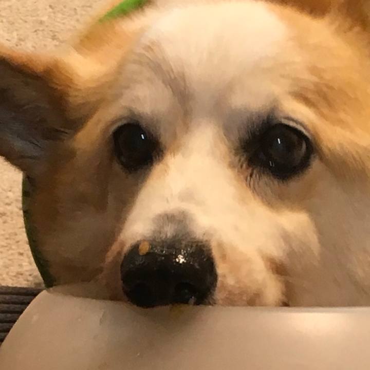 3b963055 78c4 43e0 8ba0 b0a48b619e35 1560576301227