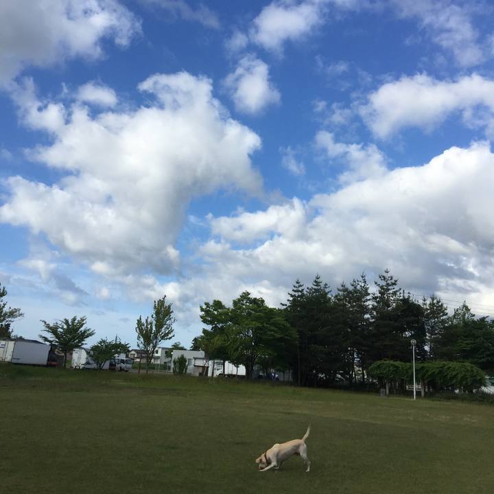 3b96a1af 5de4 450f a139 cb528890e12b 1591741592480