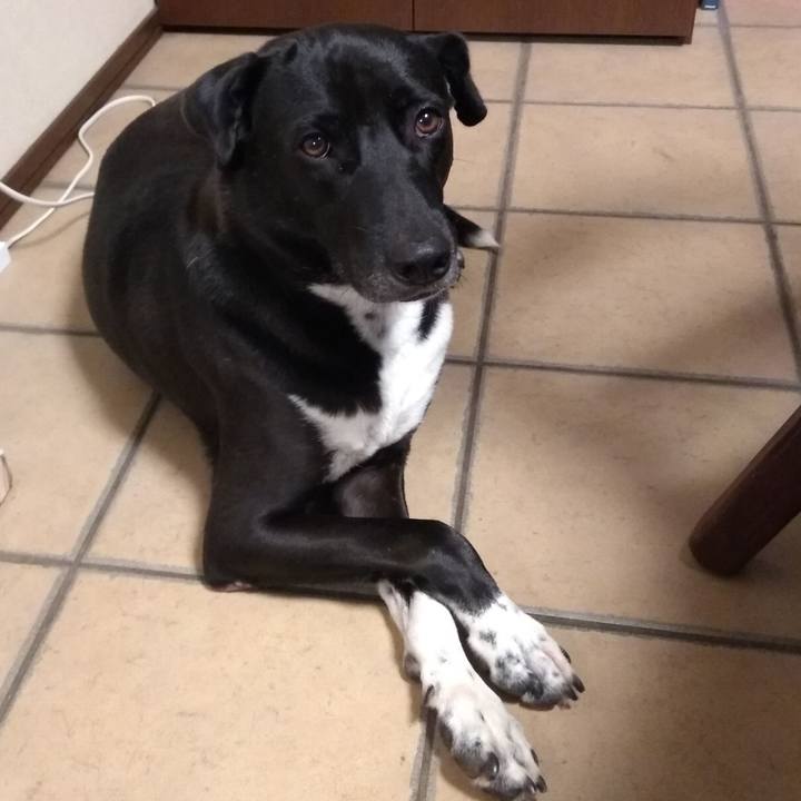 3b96aa2a 5291 41c9 9de5 c5e23a483b01 1603274957384