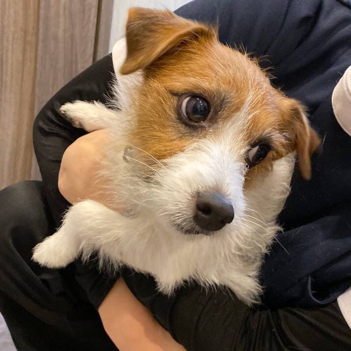 3b96d652 3a1f 4efc 9395 257e9d17ce07 1575674633529