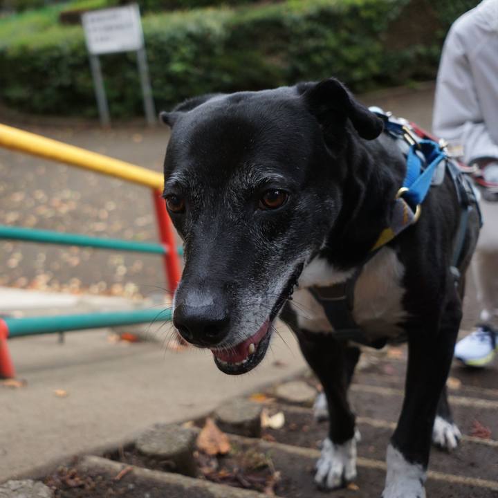 3b96e405 1118 4057 b8b5 776f63500a2a 1762822503027