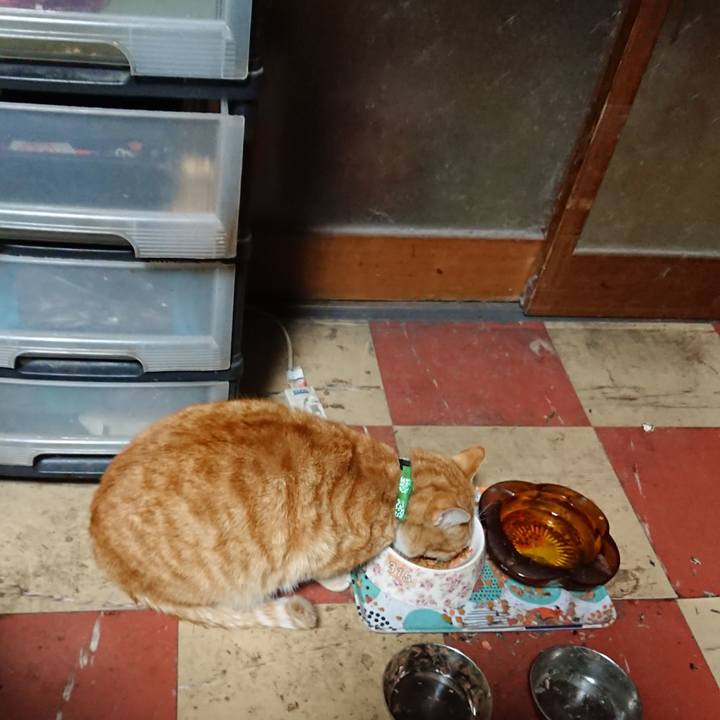 3b96f0bd 9e14 47e7 b9dc 90d15a9e8c24 1584736448731