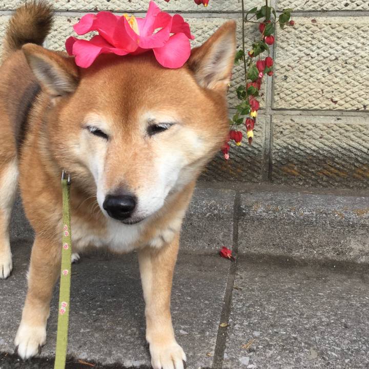 3b970482 4e84 4800 b67a d62bd489cee5 1582343506120