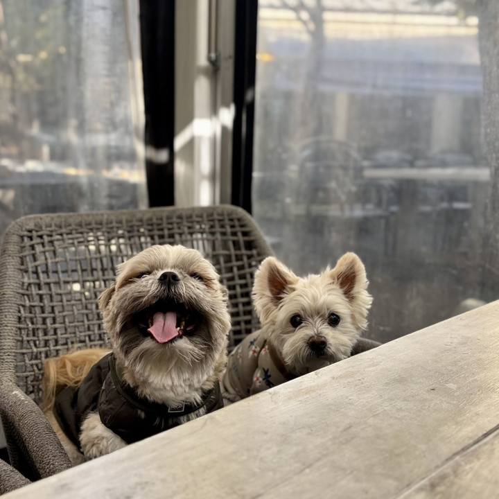 3b97297c 27d2 4707 b787 ac903016d8b8 1765191742001