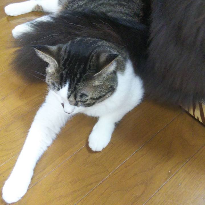 3b9735f9 7554 4797 a310 2182e1446108 1662629584877