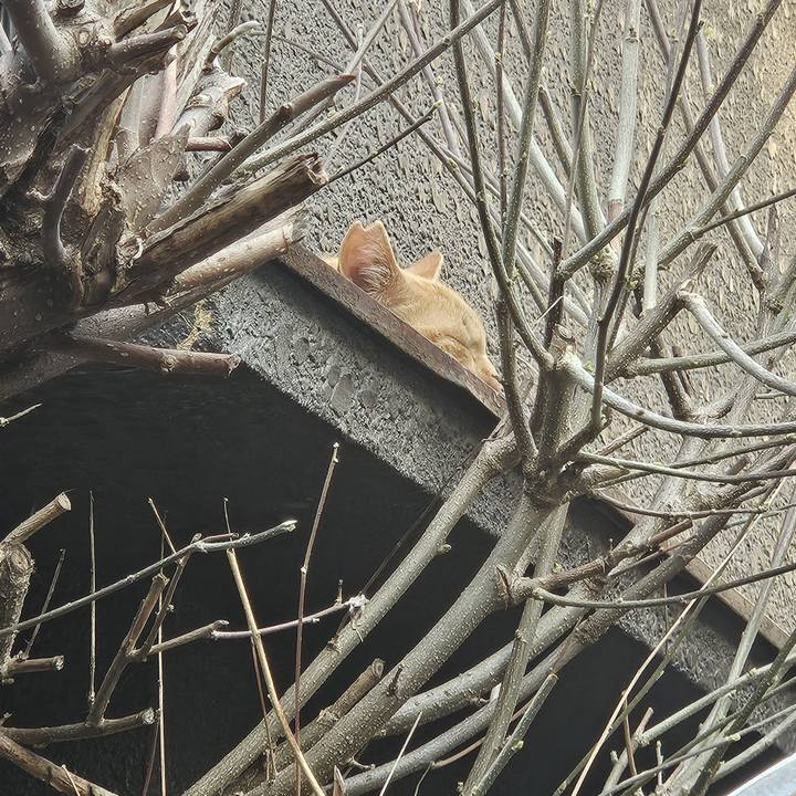 3b978cc5 ac69 454e 9d5a a7dbc8e70326 1742715825086