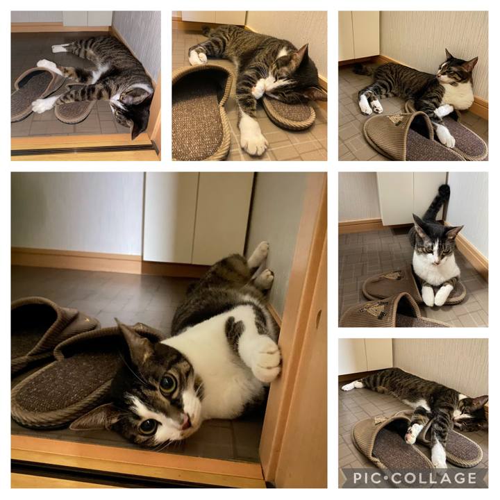 3b978ea7 342a 4297 bfac ce4d84b5f530 1694809077328