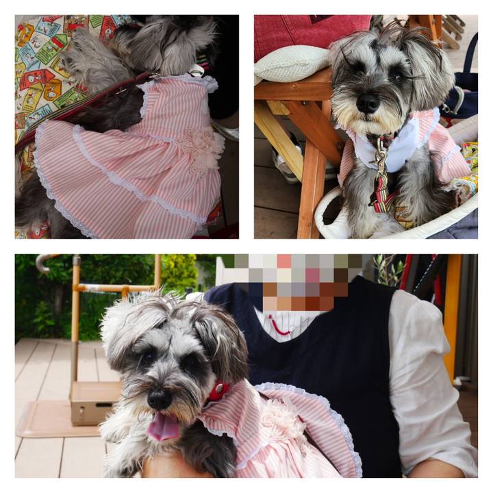 3b983873 9d46 4b64 90c4 c7b6ce0e59d8 1717225465768