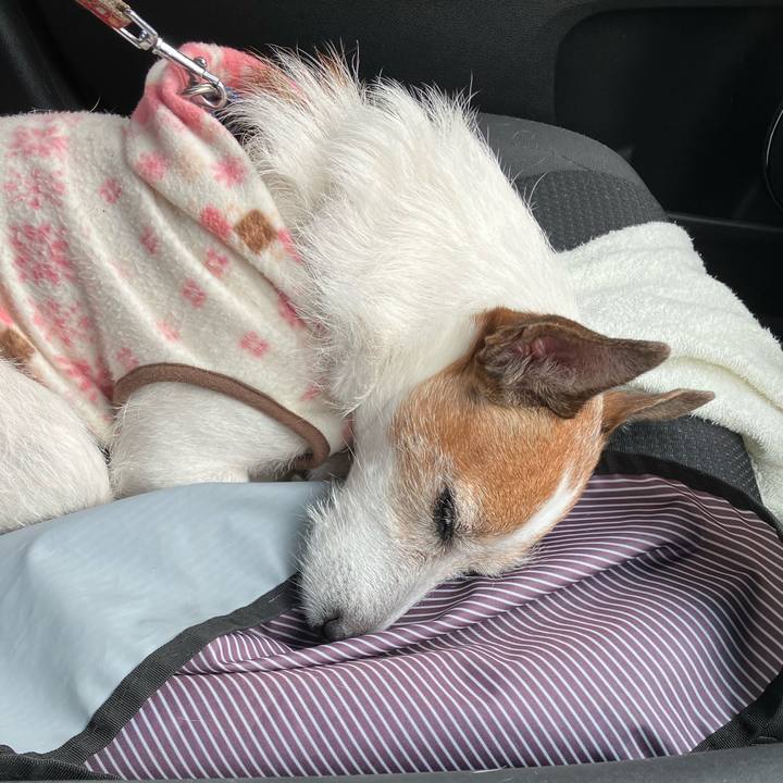 3b989576 e7c1 4f9c 9ec3 d972a7d26c29 1668554553678