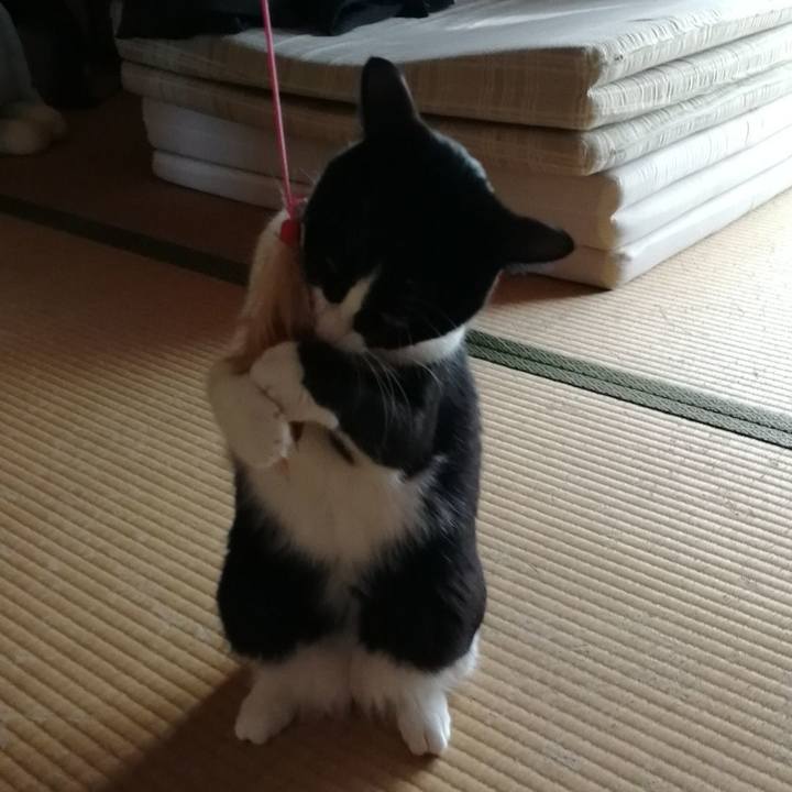 3b9903db d9e5 419f 91df a46e66b0fea7 1552053419176