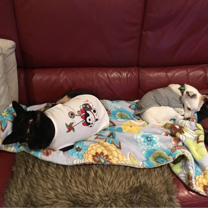 3b992cfe cbe5 431b b952 5a5e2dc89d60 1758063954849